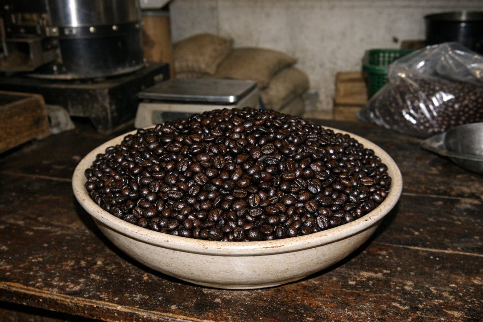 Robusta coffee Roasted coffee from Bali