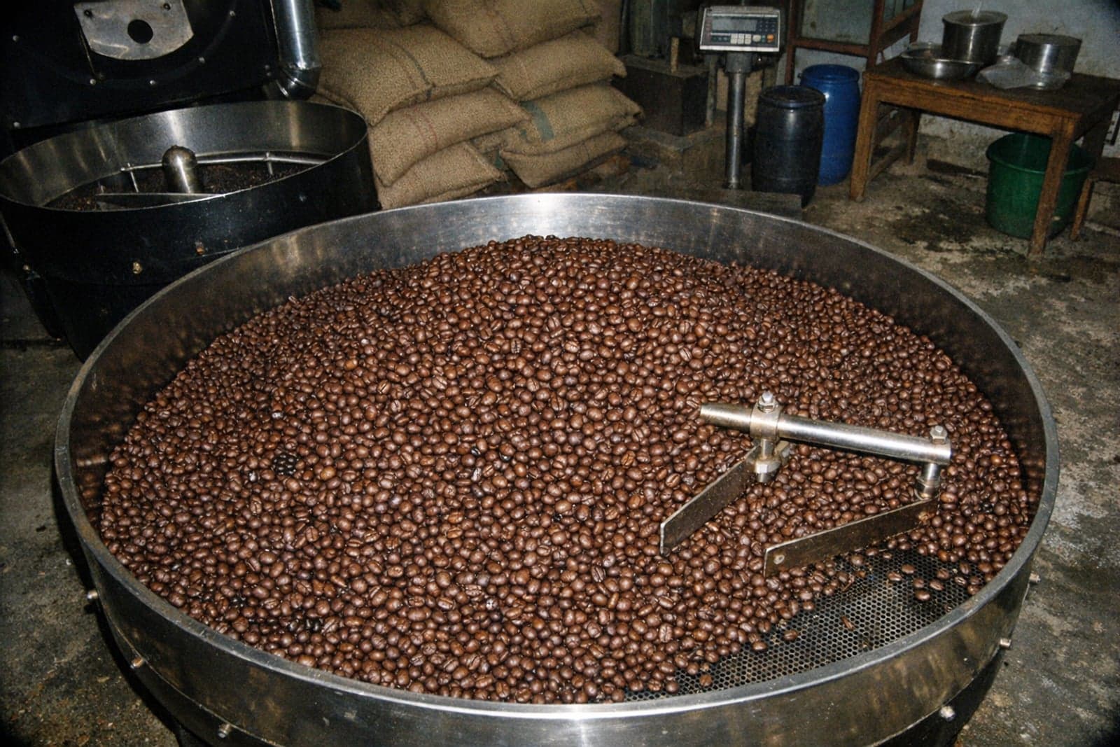 Robusta coffee Roasted coffee from Java