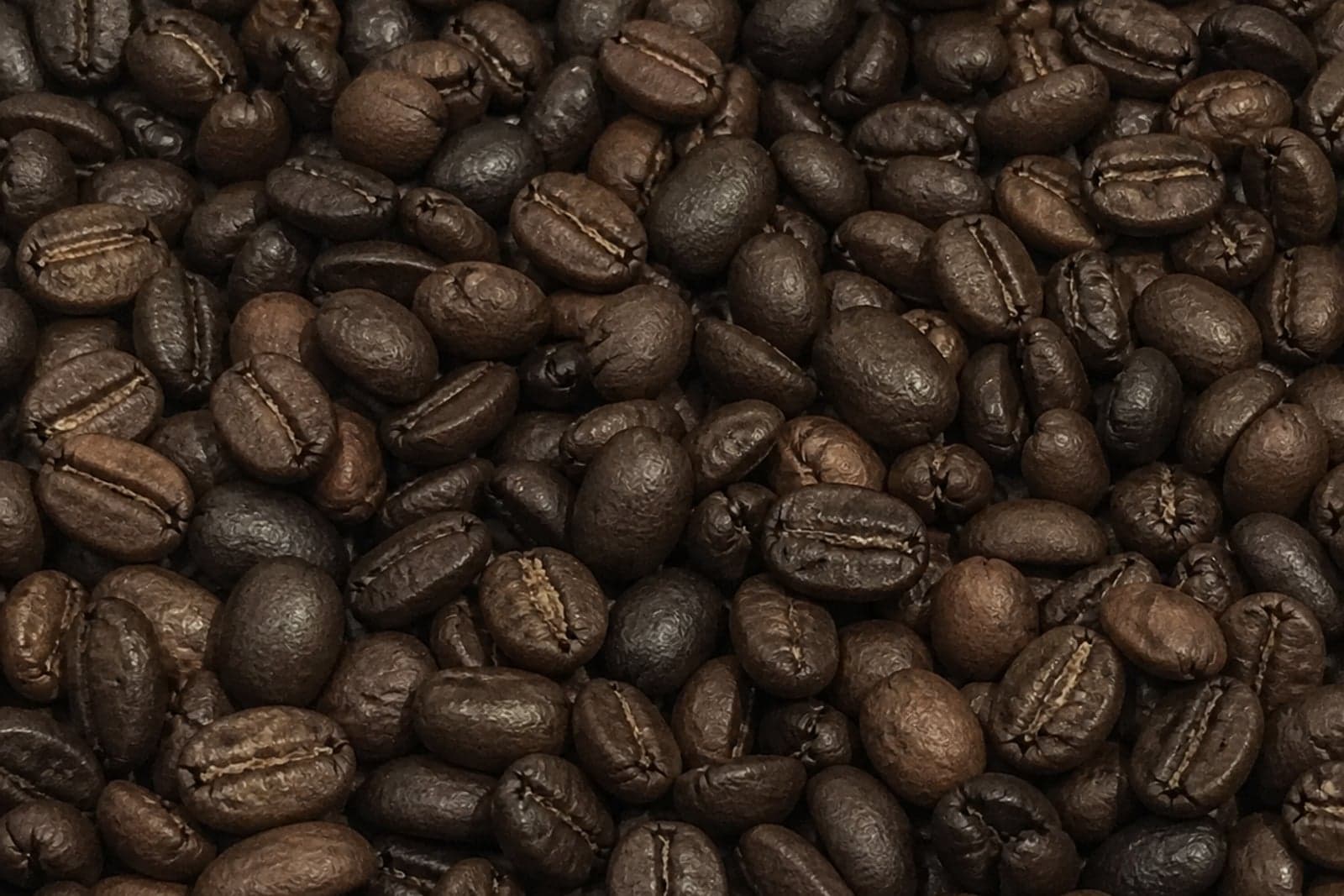 Robusta coffee Roasted coffee from Sulawesi